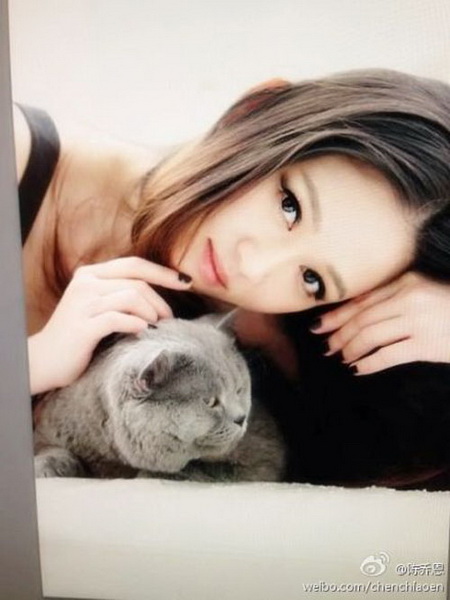 图片: 图4-陈教主不仅爱猫，所有有关动物的公益活动也身体力行.jpg