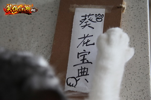 图片: 图4-欲练神功…….jpg