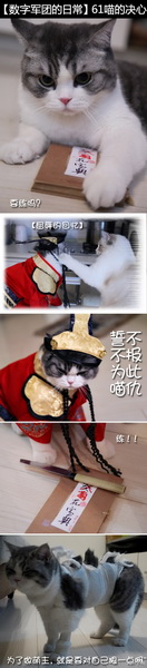 图片: 图11-61的决心-2.jpg