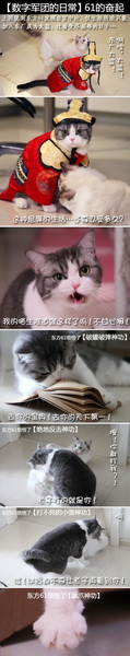图片: 图14-61的奋起.jpg