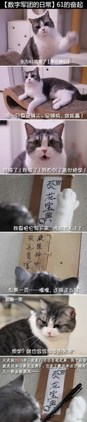 图片: 图15-61的奋起-2.jpg
