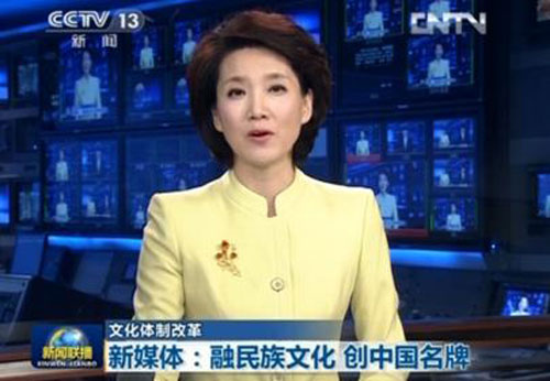 图片: 图1.jpg