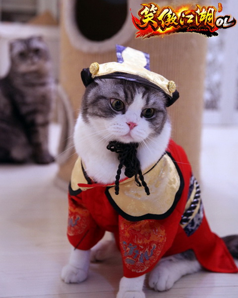 图片: 图4：可是听说笑傲江湖OL流浪猫公益代言人不是本喵，略感失落。.jpg