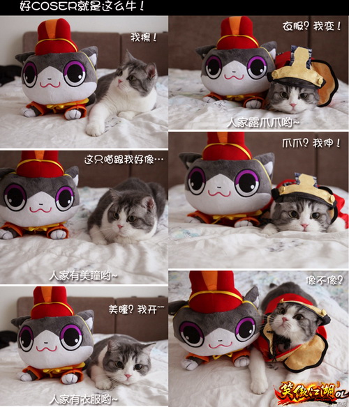 图片: 图7：东方61比美教主玩偶，哼，谁才是好COSER！.jpg